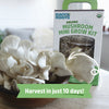 Back to the Roots Organic Pearl Oyster Mushroom Mini Grow Kit, for Indoor Gardening and Cooking